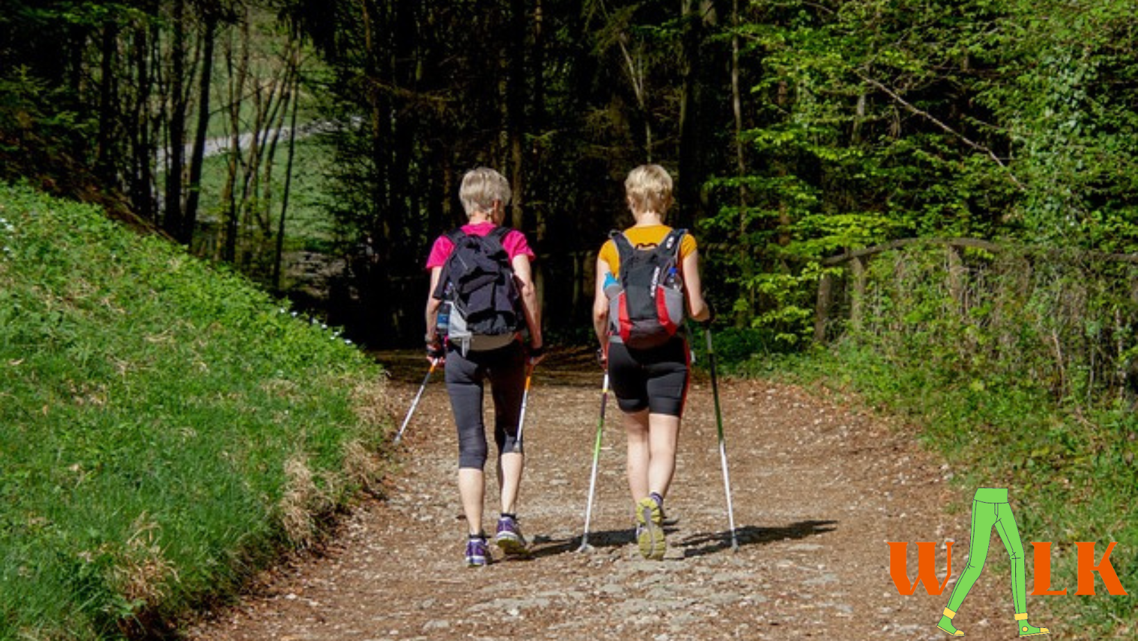 The Power of a Simple Step Is Walking a Cardio Exercise