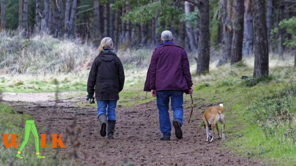 is walking a good exercise for lower back pain